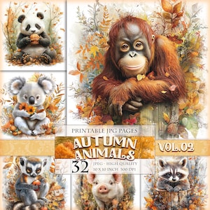 Puede incluir: Impresión artística digital con ilustraciones de acuarela de animales otoñales, incluyendo un panda, un koala, un lémur, un cerdo, un mapache y un orangután. El texto "Autumn Animals" y "Vol. 02" son visibles. Imágenes de 25,4 x 25,4 cm.