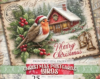 Christmas Birds Postcards, Printable 25 JPG image, Snowy Winter  Landscape, Scrapbook Ephemera Journal Decoupage Paper, Instant download.