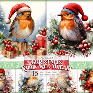 Weihnachten Rotkehlchen Vogel, druckbare 15 JPG Bild, Aquarell Clipart Seiten, Digital Collage Sheet, sofort download.