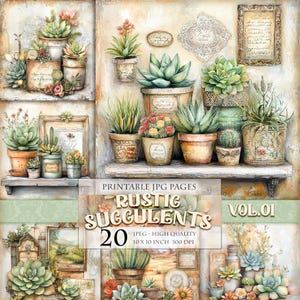 以下が含まれることがあります： 鉢植えの多肉植物とサボテンのコレクションをフィーチャーしたデジタルアートプリント。画像は、素朴でヴィンテージスタイルのポットに入ったさまざまなサイズとスタイルの植物を示しています。「RUSTIC SUCCULENTS」と「VOL.01」の文字が見えます。プリントは25.4 x 25.4 cmです。