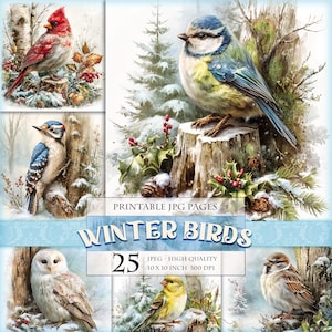 Könnte beinhalten: Eine Sammlung von Aquarellillustrationen von Wintervögeln, darunter ein roter Kardinal, eine Blaumeise, ein Specht, eine Eule, ein Spatz und ein gelber Girlitz. Die Bilder sind vor verschneiten Hintergründen mit dem Text "Winter Birds" und "25 JPEG - High Quality 25.4 x 25.4 cm 300 DPI".