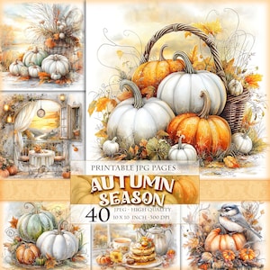 May include: A digital art print featuring a collage of autumn-themed images. The images include pumpkins, a basket, and a bird. The text "AUTUMN SEASON" is displayed, along with "40" and "10 X 10 INCH - 300 DPI".