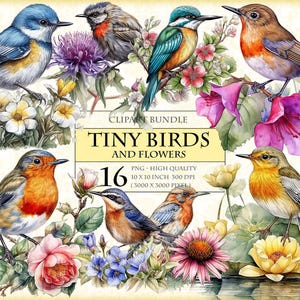 Petits oiseaux et fleurs, petits oiseaux mignons, lot de cliparts aquarelle, PNG imprimable 16 HQ, image transparente par sublimation, téléchargement immédiat