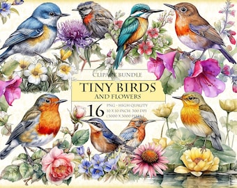 Tiny Birds and Flowers, Little Cute Birds, Watercolor Clipart Bundle, 16 HQ Printable PNG, transparent sublimation image, instant download