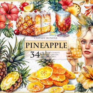 Paquete de 34 imágenes prediseñadas de acuarela con temática de piña y flor, frutas tropicales, PNG imprimible de alta calidad, descarga instantánea de imágenes de sublimación transparente.