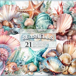 Muscheln, Unterwasser-Aquarell-Clipart-Paket, 21 qqm druckbare Bild, transparentes PNG-Format, Sublimations-sofort-Download.