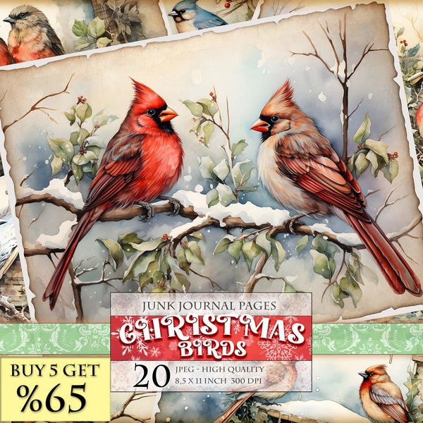 Christmas Birds, Winter View Watercolor Junk Journal Pages, 20 JPG - 11X8,5 inch, Instant download and printable, Digital collage sheet
