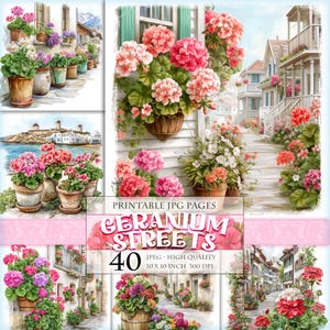 May include: A collection of watercolor prints featuring geraniums in various settings. The images showcase vibrant pink, red, and white geraniums in pots and along streets. The text "GERANIUM STREETS" and "40" are visible.