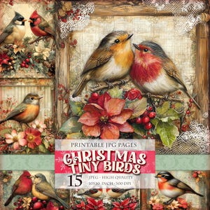 Petits oiseaux de Noël, paysage d'hiver, 15 images JPG HQ imprimables Ephémères Scrapbook Junk Journal Carte postale découpage Téléchargement instantané.