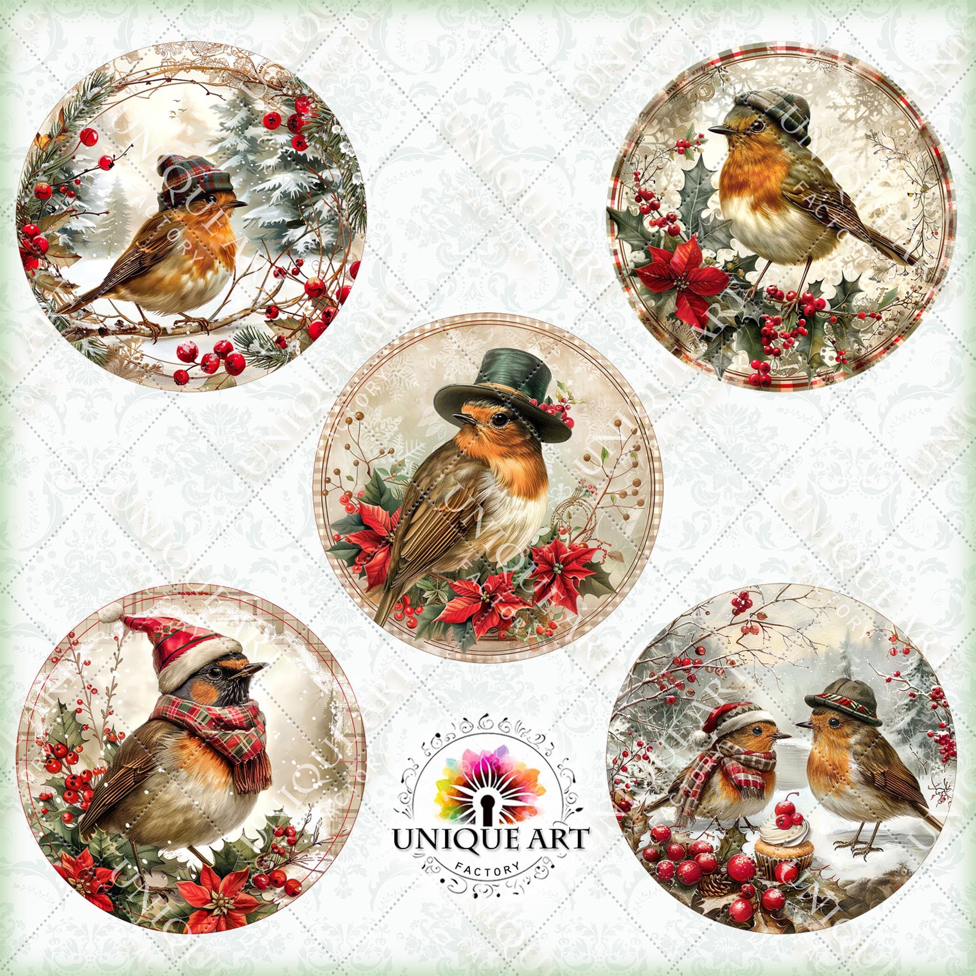 Christmas Robin Bird - Round Clipart Bundle, Printable 16 PNG Image ...