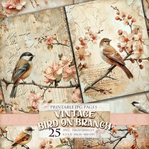 Pássaro vintage em galho, clipart floral de primavera, imagem HQ 25 JPG para impressão, páginas de fólio de diário de lixo, itens efêmeros de álbum de recortes, download instantâneo.