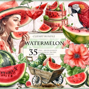 Sandía y flor, imagen PNG HQ 35 imprimible, clipart de acuarela con temática de frutas tropicales, recortes minuciosos, descarga instantánea de sublimación de pegatinas.