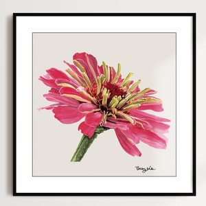 May include: A close-up of a pink zinnia flower with a yellow center. The flower is in focus, while the background is blurred. The artist's signature, "Betsy Jula", is in the bottom right corner.