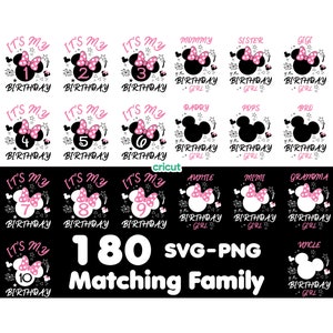 Pacchetto famiglia abbinato, Compleanno ragazza famiglia Svg, Squadra compleanno, Svg per Cricut, Minnie Mouse Png, È il mio compleanno Svg, Png
