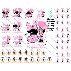 Minnie Birthday Girl Family Svg, Minnie Matching Family, Minnie Mouse Numbers Svg, Png, Minnie Mouse Png, Pacchetto famiglia Compleanno ragazza,