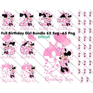 Cumpleañera a juego familia svg, png Minnie Mouse números svg, png, Minnie Mouse png, paquete familiar cumpleañera svg, Minnie Mouse svg