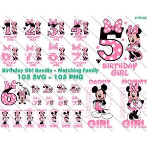 Minnie cumpleañera, paquete SVG de la familia Minnie, trajes familiares a juego, Minnie cumpleañera familia svg, familia a juego, números de Minnie,