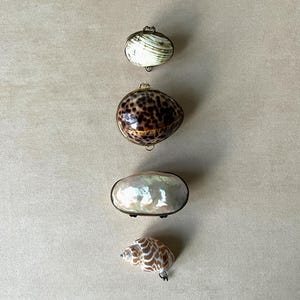Caixas vintage em conchas naturais | Porta-anéis em forma de concha | Caixa para comprimidos e joias com borda de latão e detalhes em madrepérola