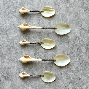Könnte beinhalten: Fünf dekorative Löffel mit Muschelgriffen und Perlmutt-Schalen. Die Griffe sind hellbeige und die Schalen oval. Die Löffel sind vertikal vor einem grauen Hintergrund angeordnet.