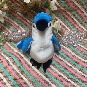 TY beanie babies Blue Jay Bird beanie baby bird stuffed animal