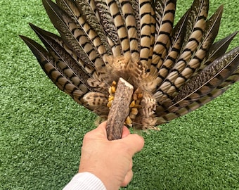 Handcrafted Smudge Fan – Sacred Smoke & Spirit Tools