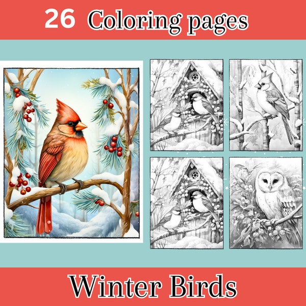 Winter Birds Adult Coloring Pages, 26 Digital Downloads, Grayscale, Coloring Sheets, Printable PDF, Christmas Coloring Page, Beautiful Birds