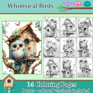 Whimsical Birds Adult Coloring Pages, 16 Digital Downloads, Grayscale, Digital Coloring Sheets, Printable PDF, Beautiful Birds, Procreate