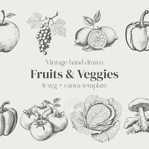 ヴィンテージ フルーツ 野菜 バンドル svg & 編集可能な Canva テンプレート ヴィンテージ 手描き クリップ アート イラスト svg フルーツ svg 野菜 svg バンドル