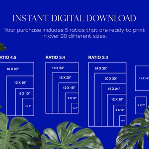 May include: A digital download graphic showing five different aspect ratios for printing images. The ratios are 4:5, 3:4, and 2:3. Each ratio is shown with a series of different sizes in inches. The text "INSTANT DIGITAL DOWNLOAD" is at the top of the graphic. The text "Your purchase includes 5 ratios that are ready to print in over 20 different sizes." is below the title.