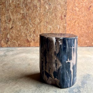 May include: A cylindrical petrified wood side table. The table has a mix of dark grey, black, and brown tones, with visible wood grain patterns. The top is flat and smooth, and the base is slightly rounded.