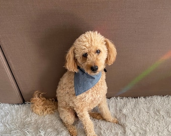 Denim Hundehalstuch | Patchwork & Wendbar | Verschieden