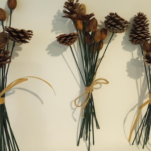 May include: Three bouquets of dried pine cones and small brown nuts tied with twine. The bouquets are arranged on a white surface.