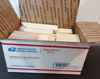 Pine Wood Cut Pieces: DIY Craft Supplies, Jewelry Making, Toys