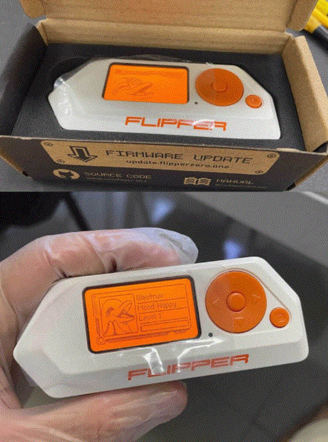 Flippers Zeros Electronic Multitool Pet Educational Device Etsy