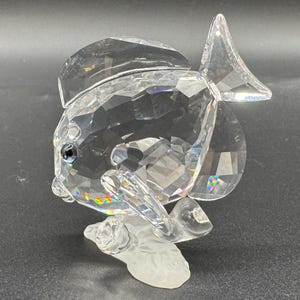 Swarovski Crystal Tang Fish Figurine - Wonders of the Sea BOXED - Etsy