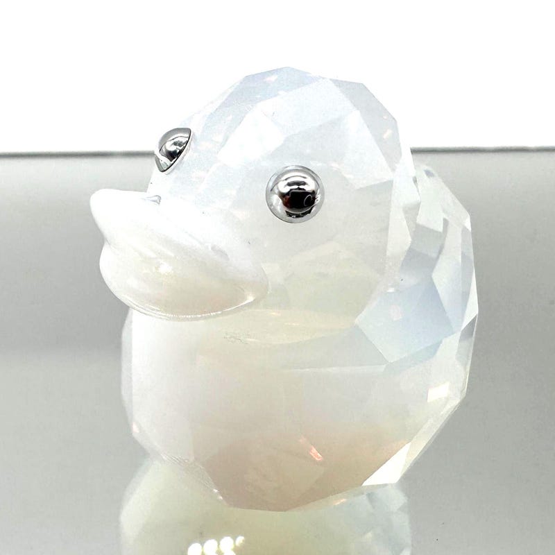 Duck Banck Lucky Duck in Box - Etsy