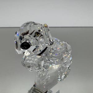 置物 SWAROVSKI - SWAROVSKI Puppy Bernie the Saint Bernard SWAROVSKI Crystal PUPPY BERNIE THE SAINT BERNARD 5213704