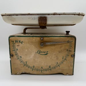 Lyssex Scale - Etsy