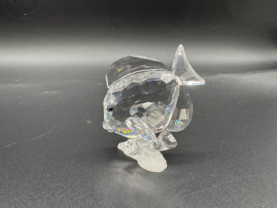 Swarovski Crystal Tang Fish Figurine - Wonders of the Sea BOXED - Etsy