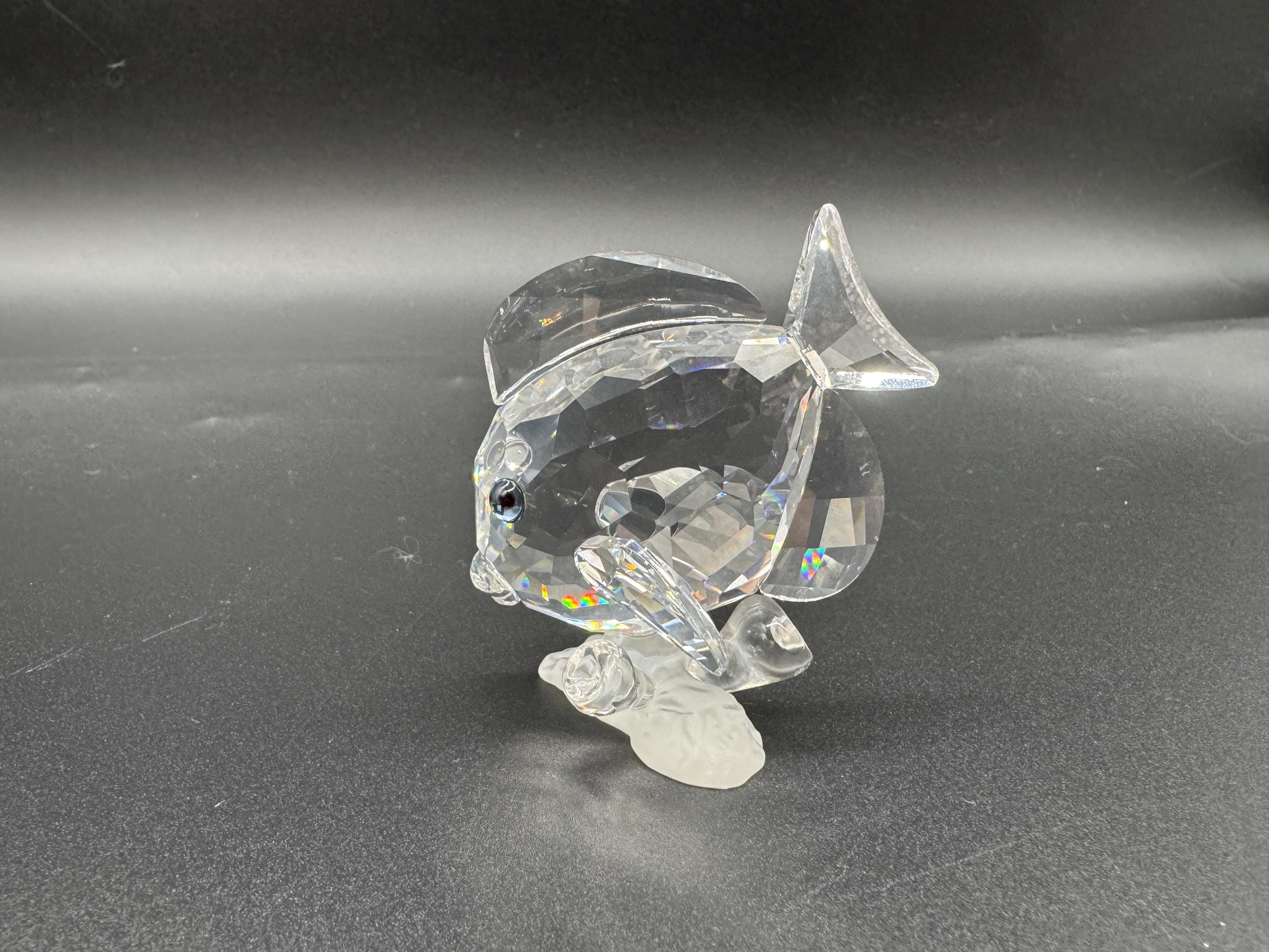 スワロフスキー   タンフィッシュクリア(Tang Fish Clear) スワロフスキー タンフィッシュクリア(Tang Fish Clear) Swarovski