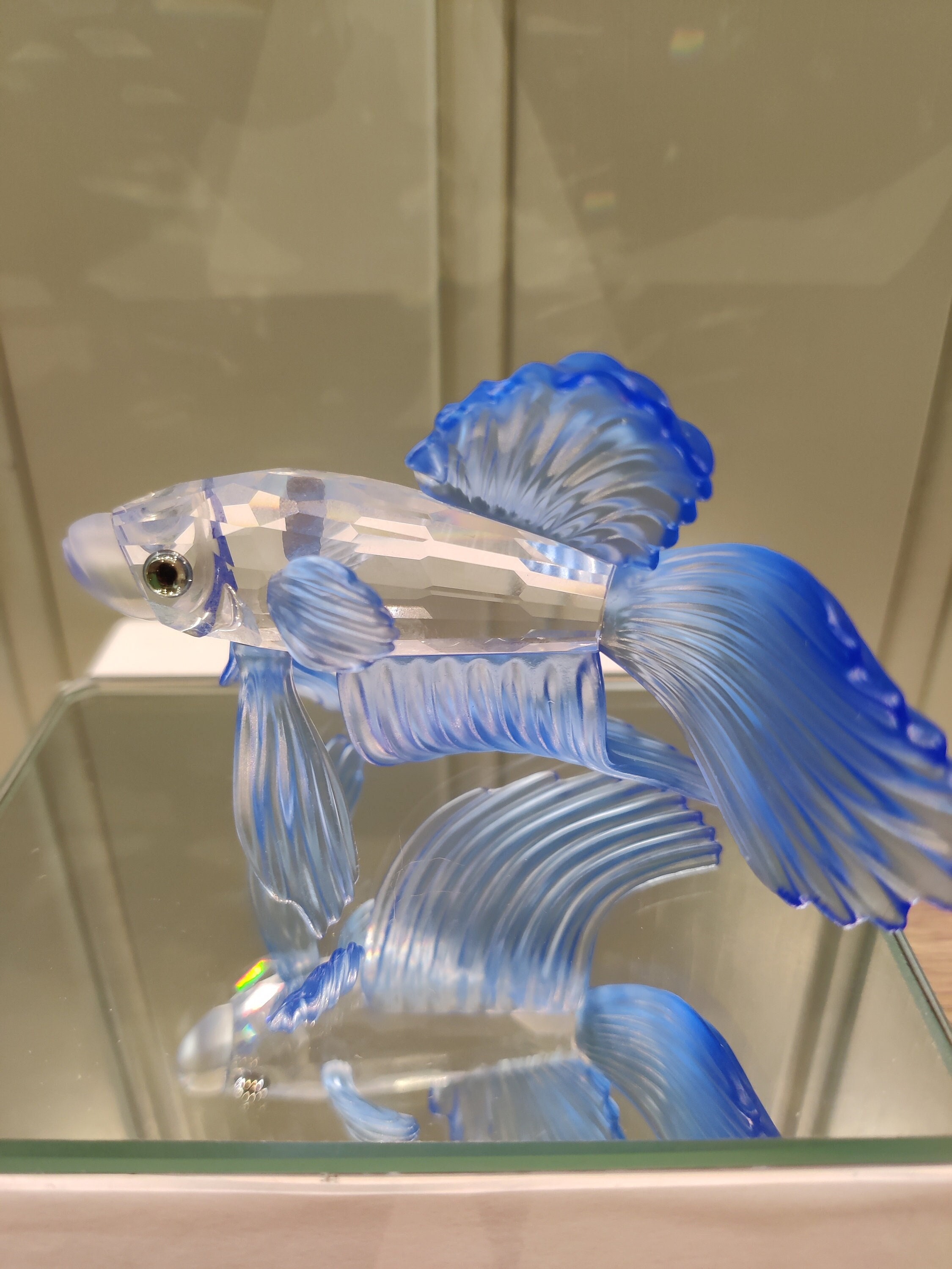Swarovski Siamese Fighting Fish Blue - Swarovski Crystal Figurine