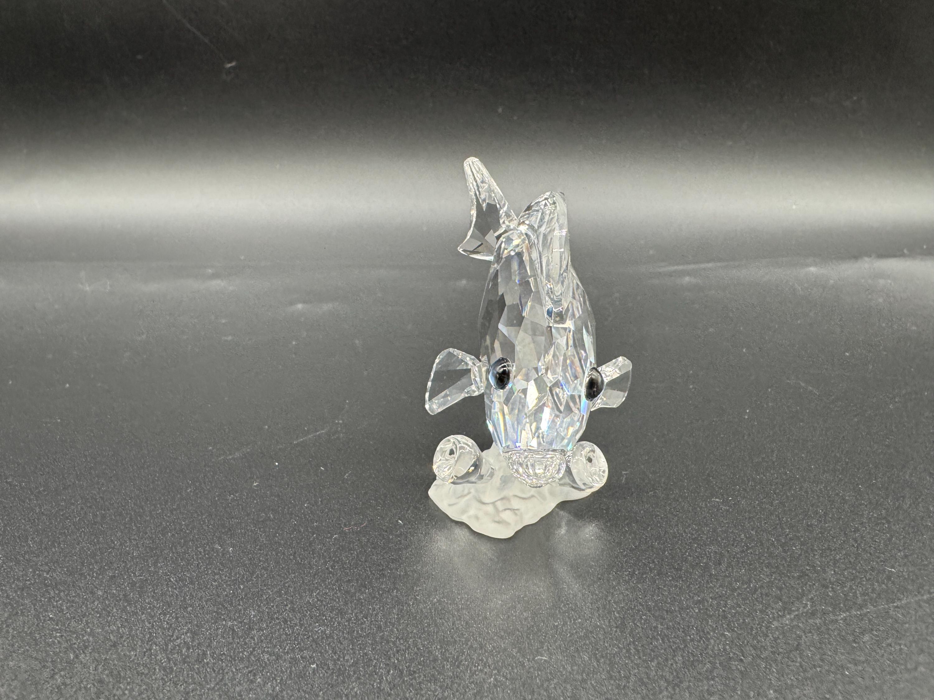 Swarovski Crystal Tang Fish Figurine - Wonders of the Sea BOXED - Etsy