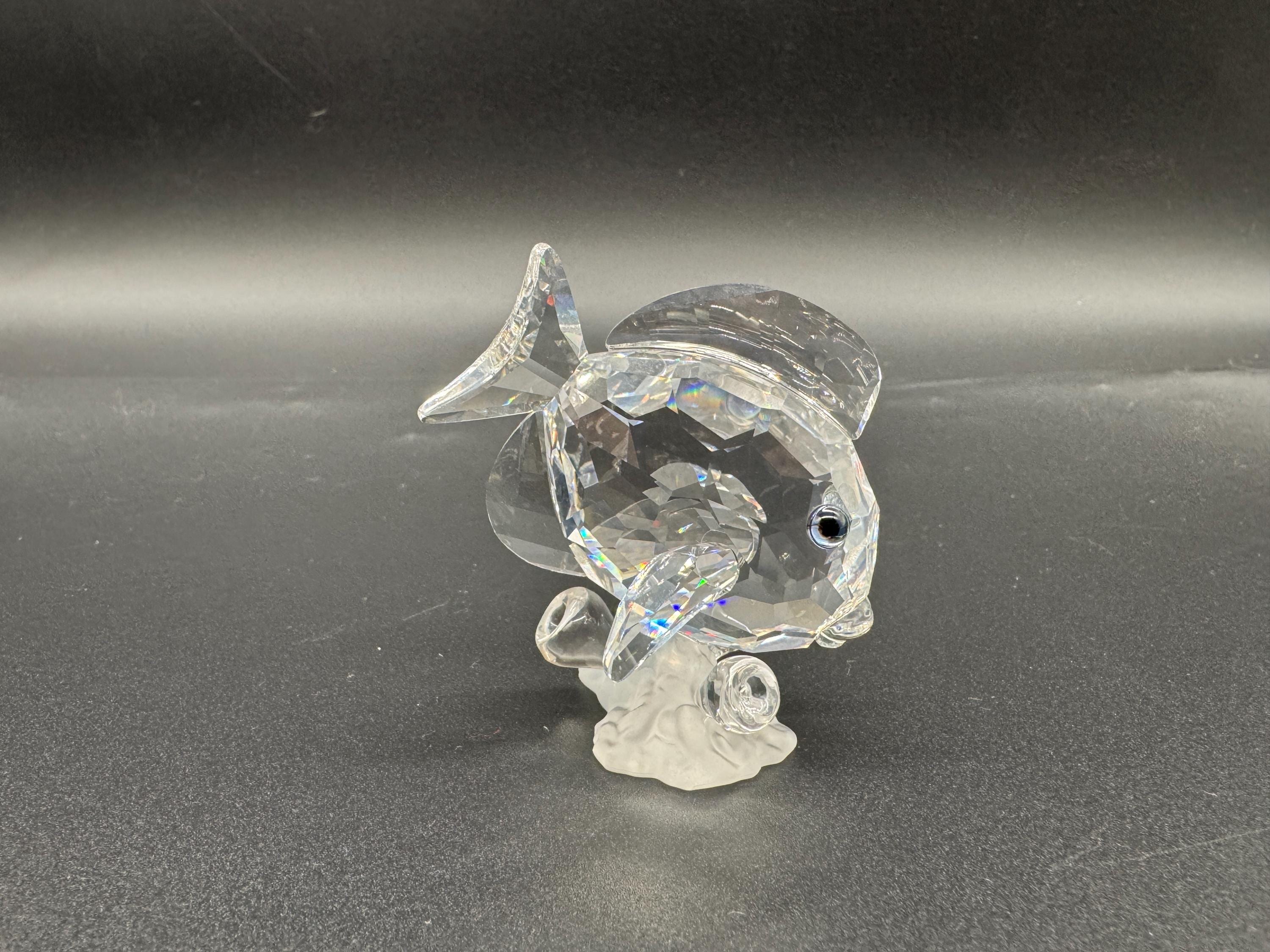 Swarovski Crystal Tang Fish Figurine - Wonders of the Sea BOXED - Etsy
