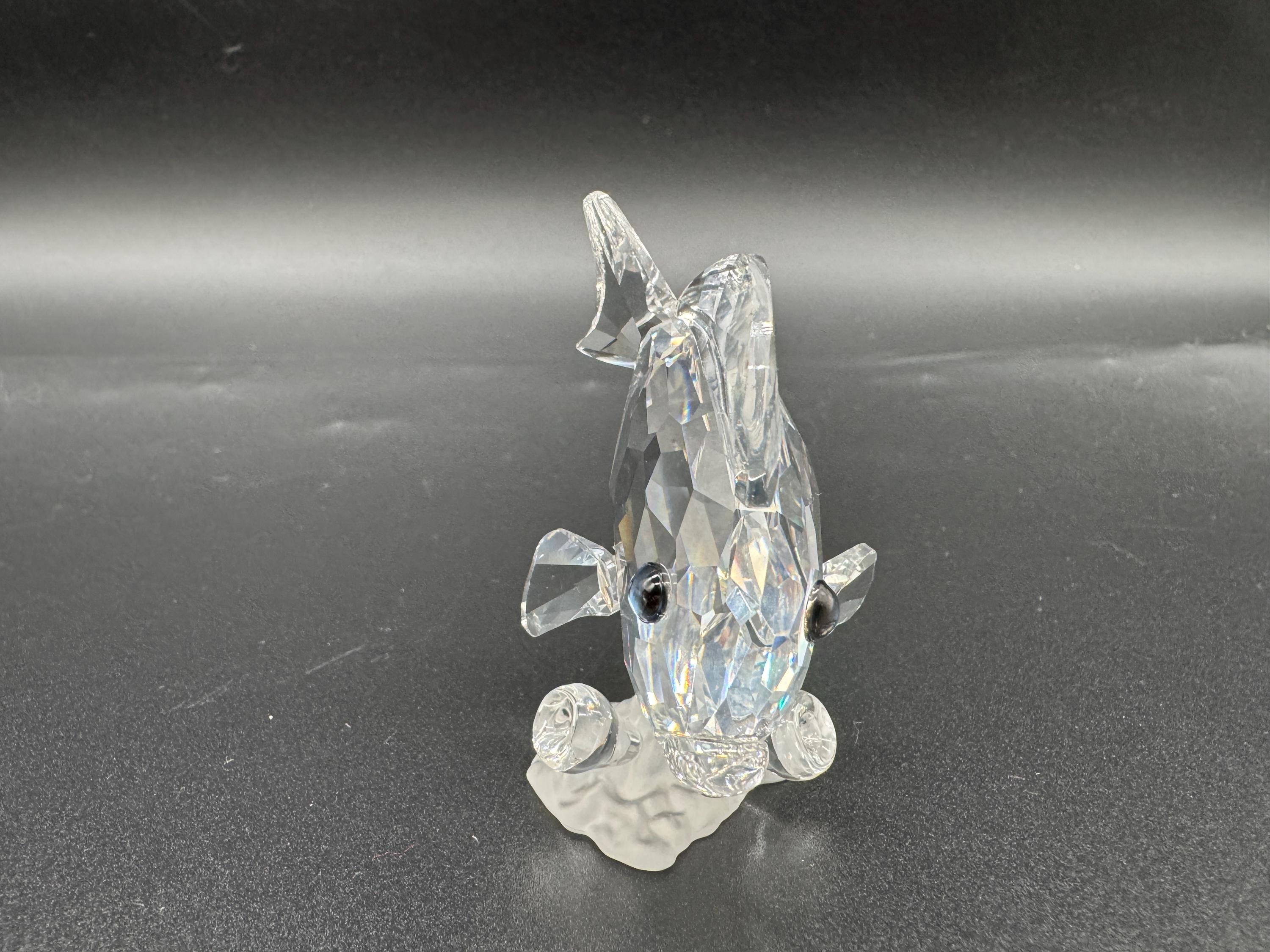 スワロフスキー   タンフィッシュクリア(Tang Fish Clear) Swarovski Crystal Tang Fish Figurine - Wonders of the Sea BOXED - Etsy