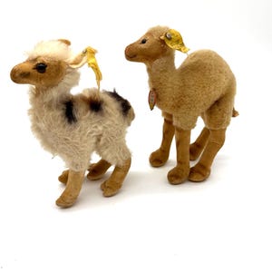 Vintage Steiff Camel Duo – 1514.00 (Bactrian) & 1516/00 (Dromedary) – 1950s–1960s Plush Animals