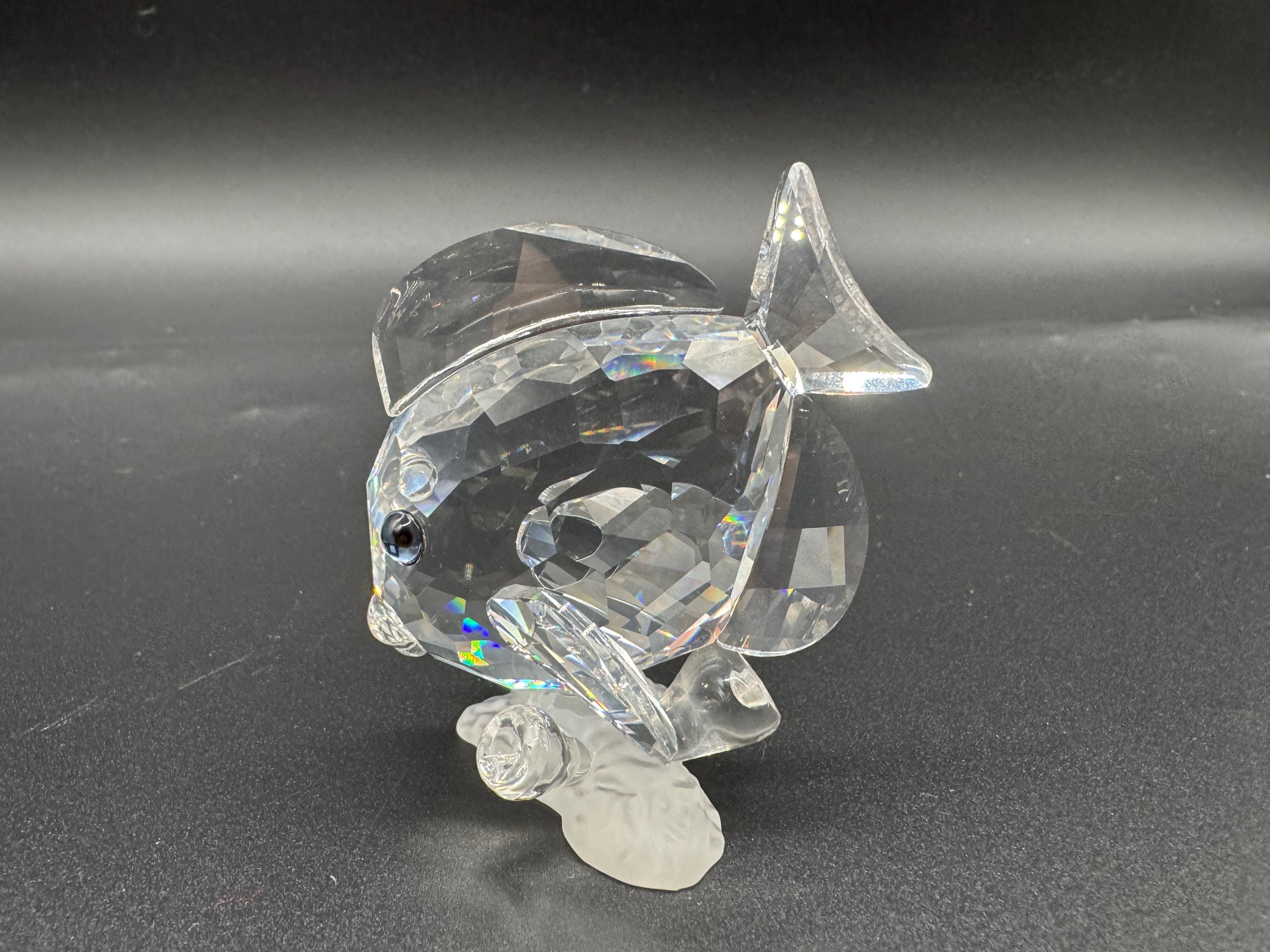 Swarovski Crystal Tang Fish Figurine - Wonders of the Sea BOXED - Etsy