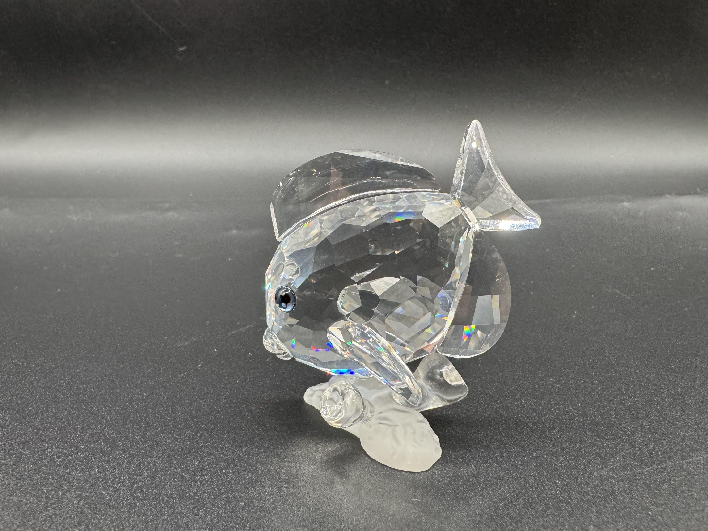 スワロフスキー   タンフィッシュクリア(Tang Fish Clear) SWAROVSKI 2007 TANG FISH BLUE – CLEAR 883822 - The Crystal Lodge 置物