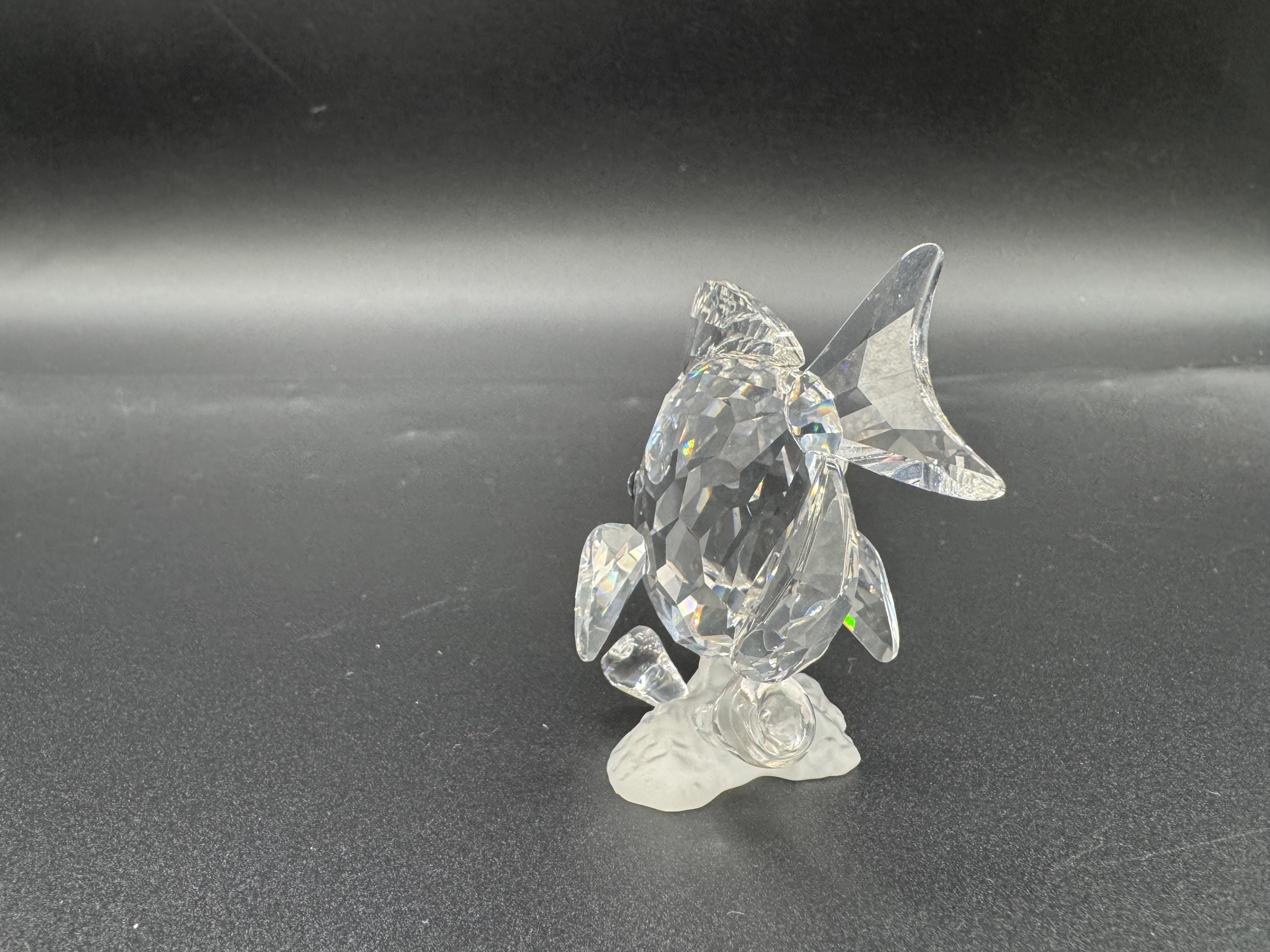 Swarovski Crystal Tang Fish Figurine - Wonders of the Sea BOXED - Etsy
