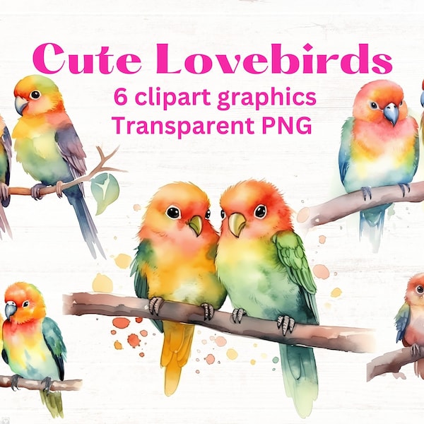 Cute LOVEBIRDS clipart set, 6 clip art images, transparent png files, watercolor illustrations, parrots birds clip art budgie parakeet pair