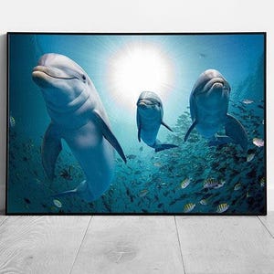 Stampa da parete con cornice raffigurante l'oceano: delfini che nuotano con pesci tropicali - Decorazione con vita marina